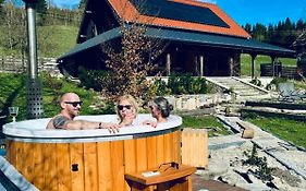 Chata nad Dziką Orlicą z jacuzzi